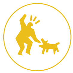 Dog Bite